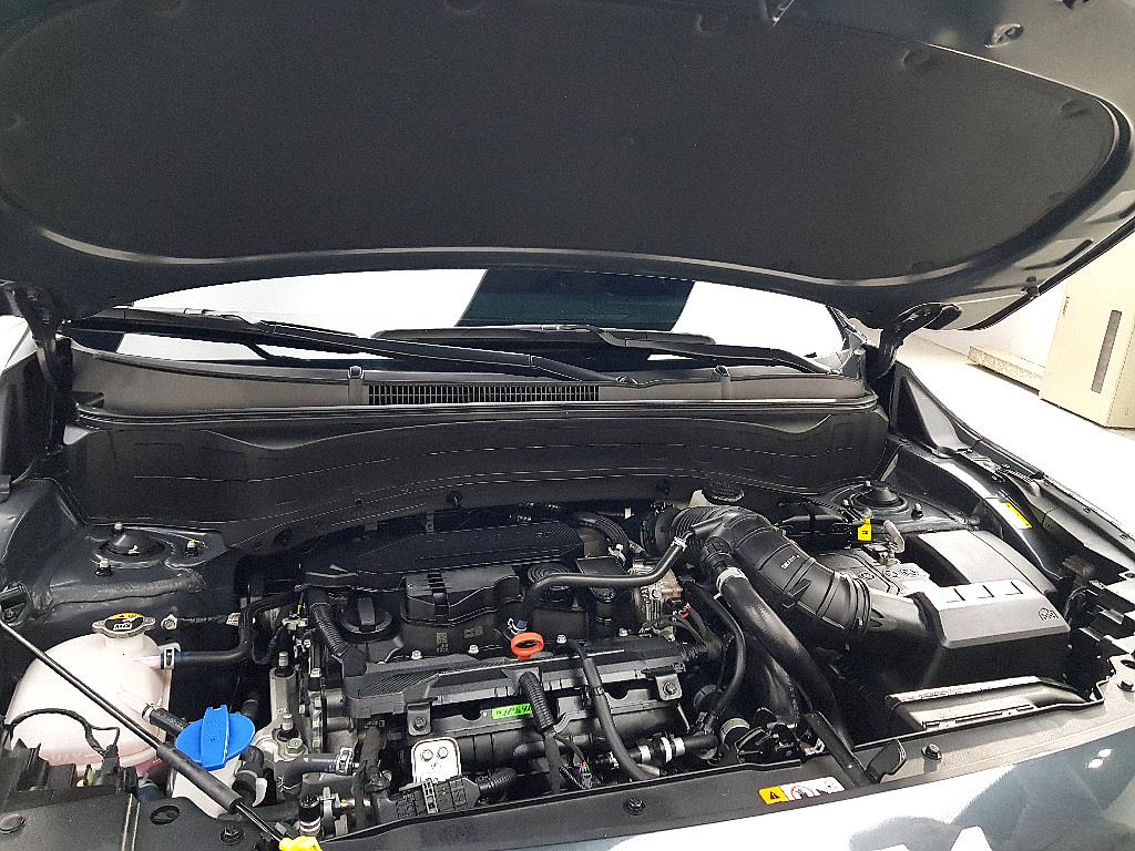 KIA Seltos - Vista 6