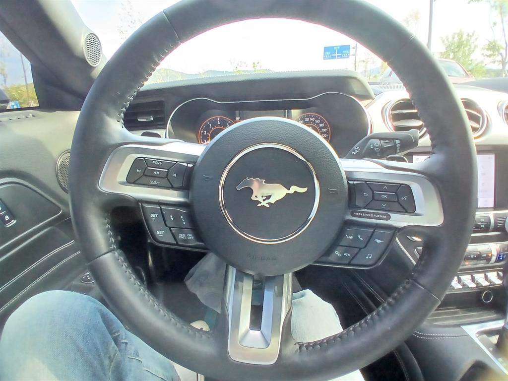 Ford Mustang - Vista 7