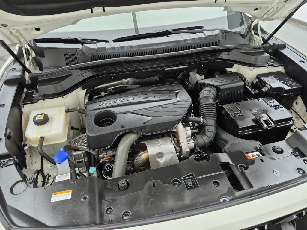 Ssangyong Torres - Vista 6