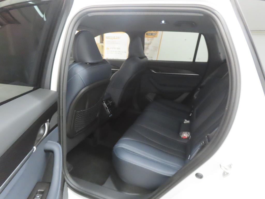 SAMSUNG Grand Koleos - Vista 6
