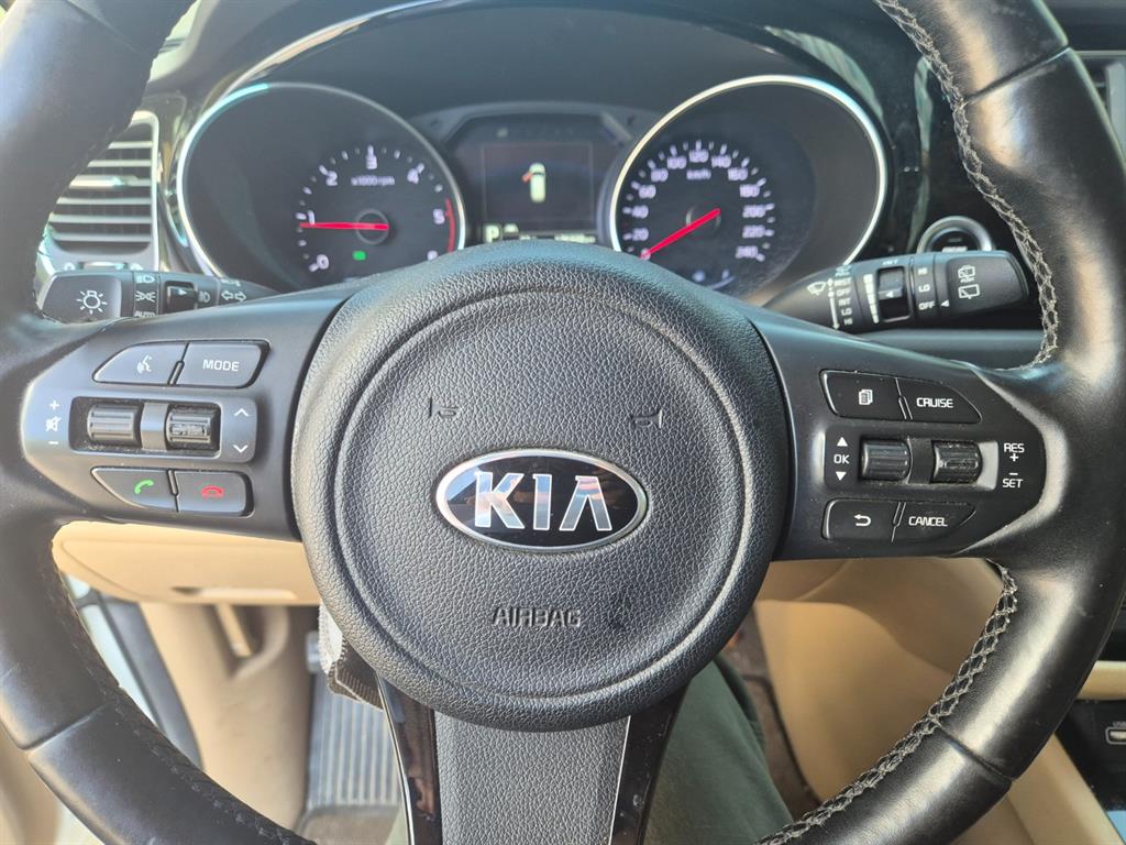 KIA Carnival - Vista 8