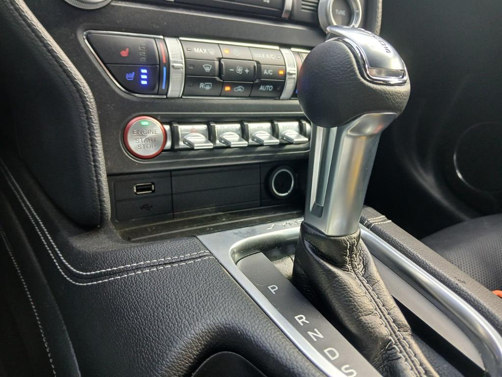 Ford Mustang - Vista 12