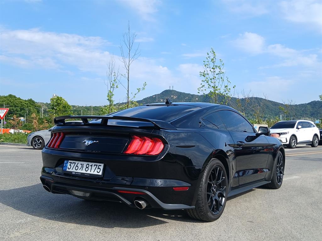 Ford Mustang - Vista 4