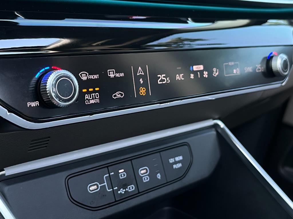 KIA Carnival - Vista 8