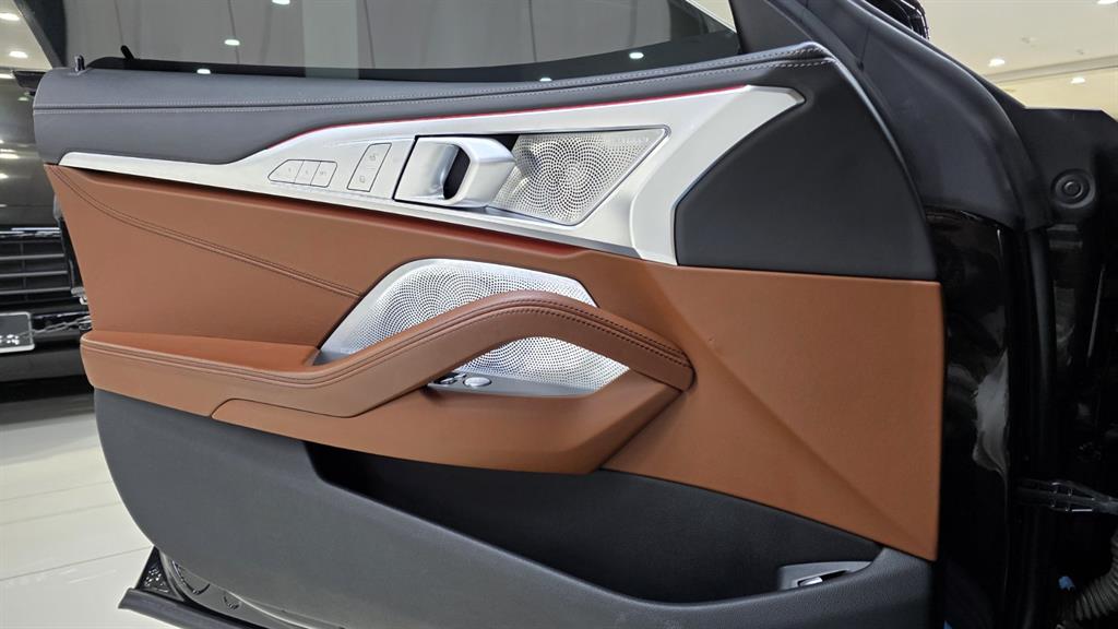 BMW 8 Series - Vista 9