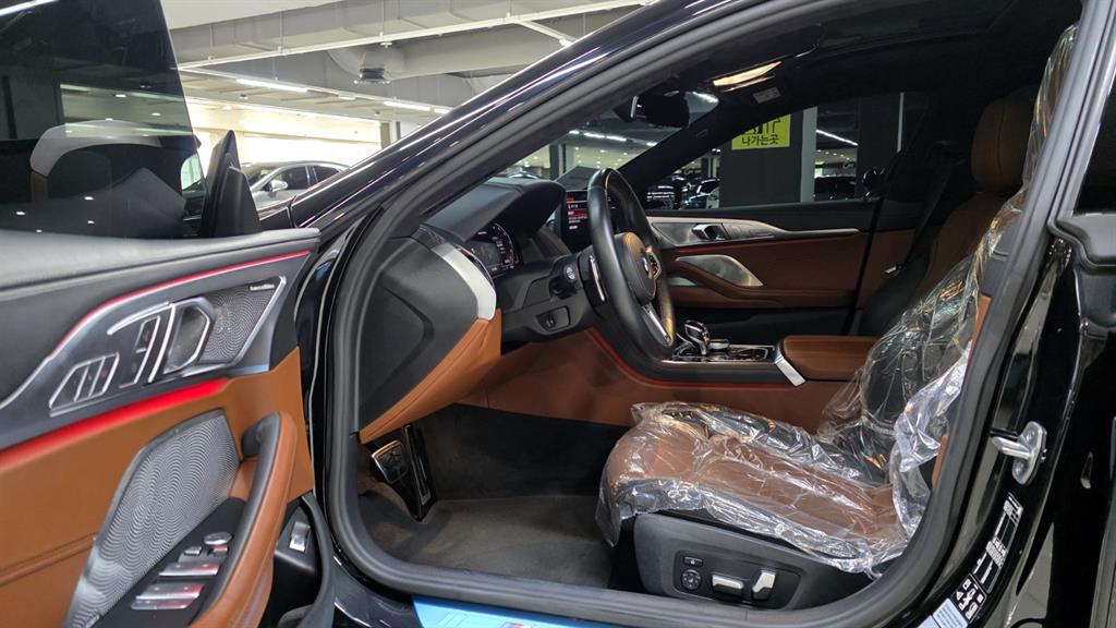 BMW 8 Series - Vista 10