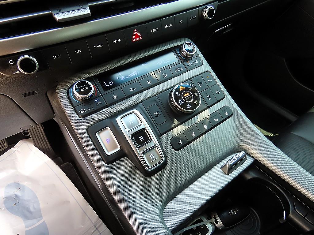 HYUNDAI Palisade - Vista 10