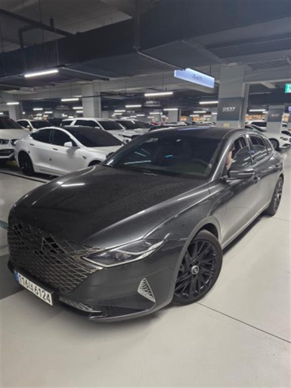 HYUNDAI Grandeur - Vista 2
