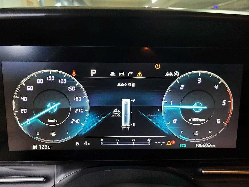 KIA Carnival - Vista 10
