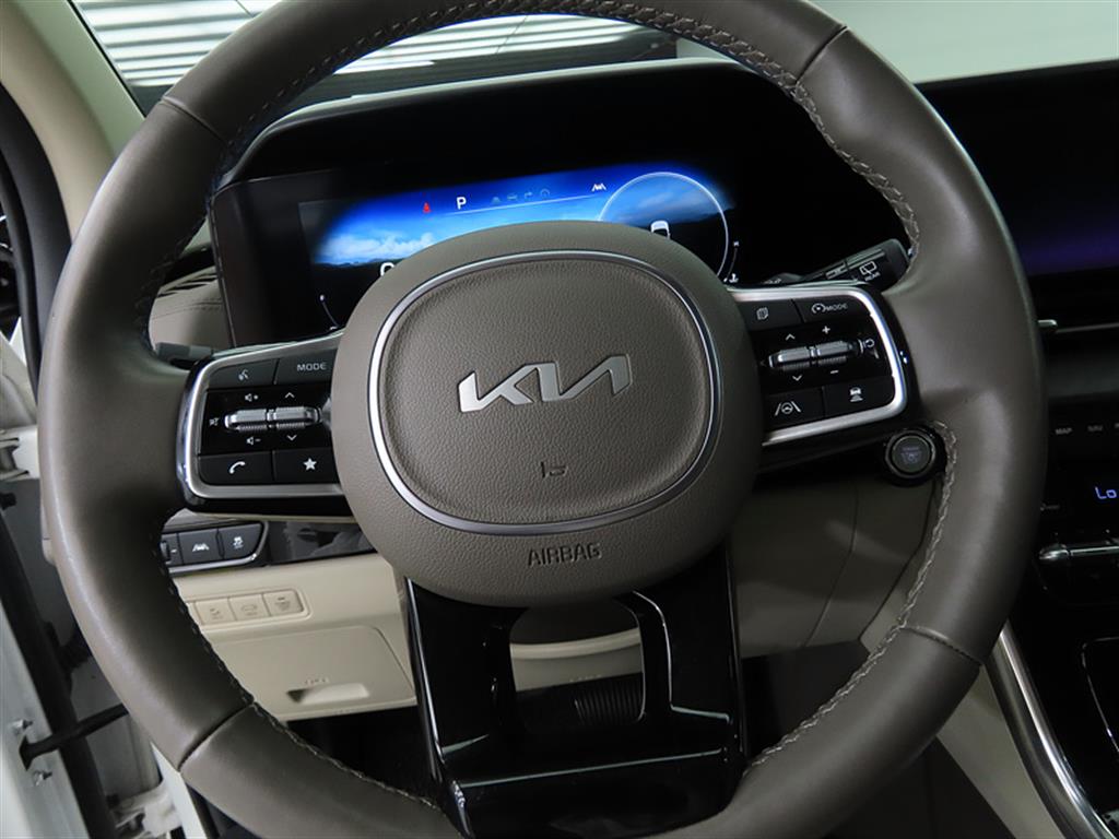 KIA Carnival - Vista 8