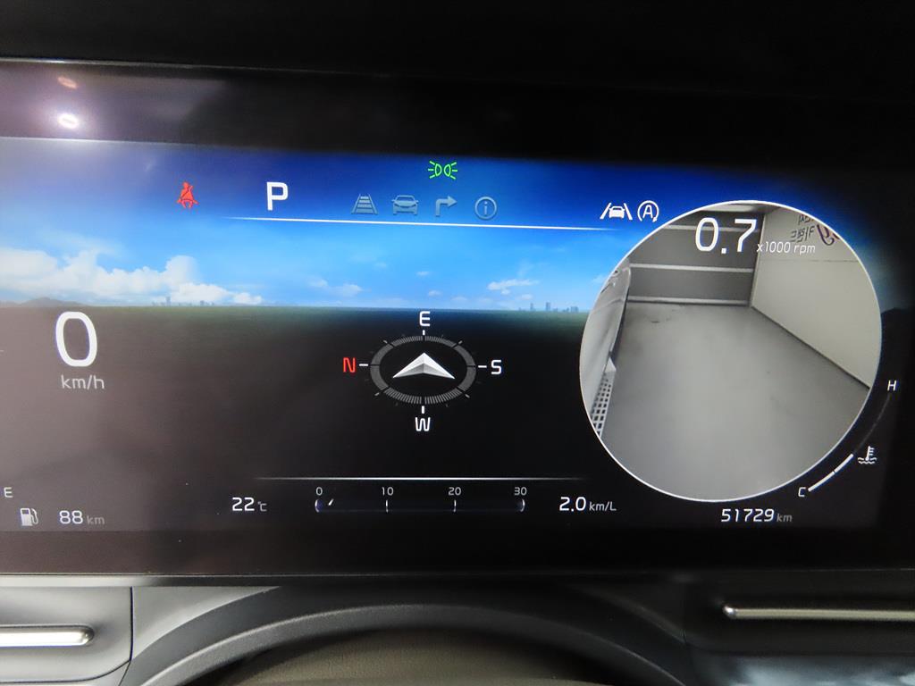 KIA Carnival - Vista 12