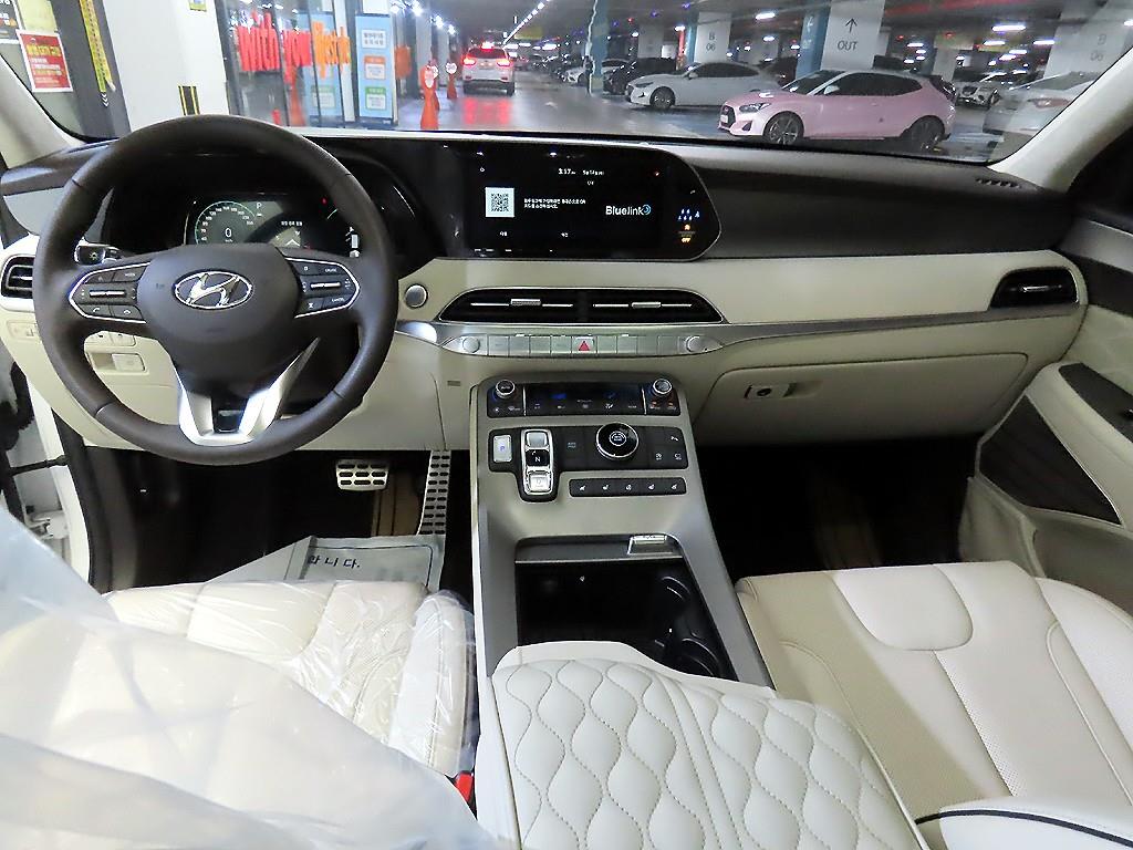 HYUNDAI Palisade - Vista 10