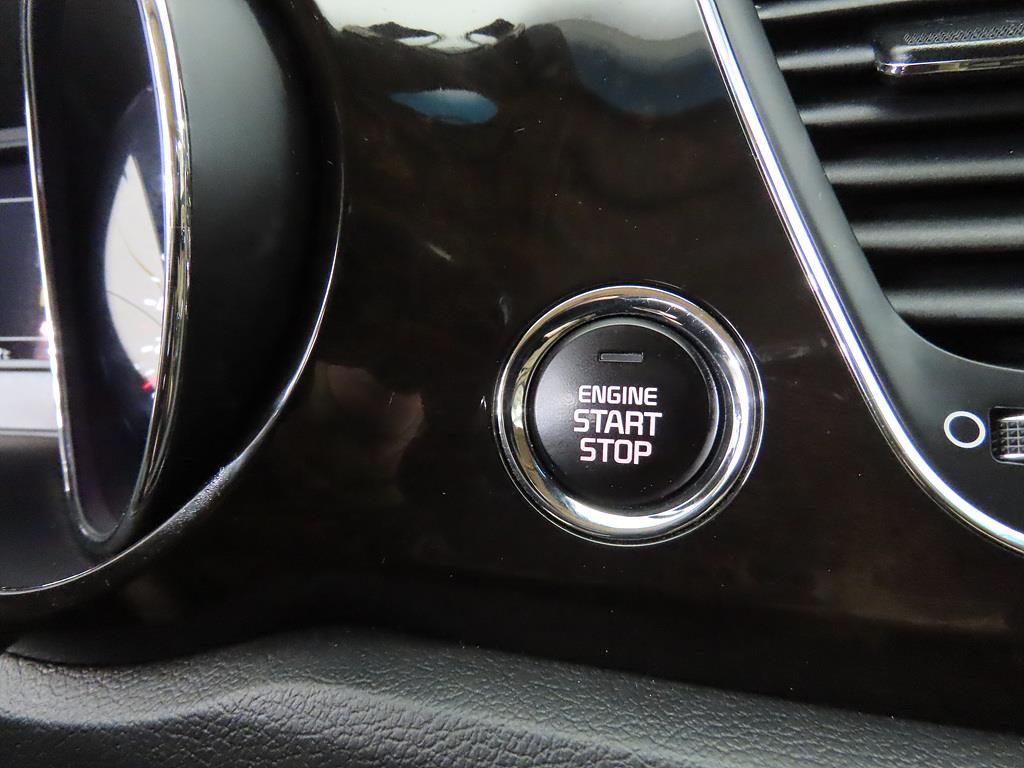 KIA Carnival - Vista 12