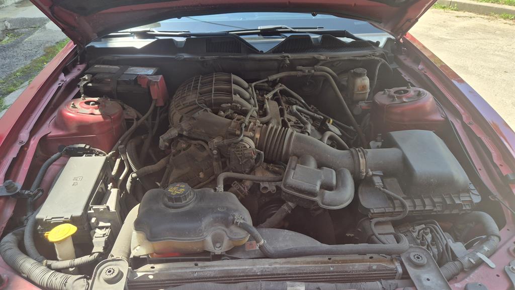 Ford Mustang - Vista 5