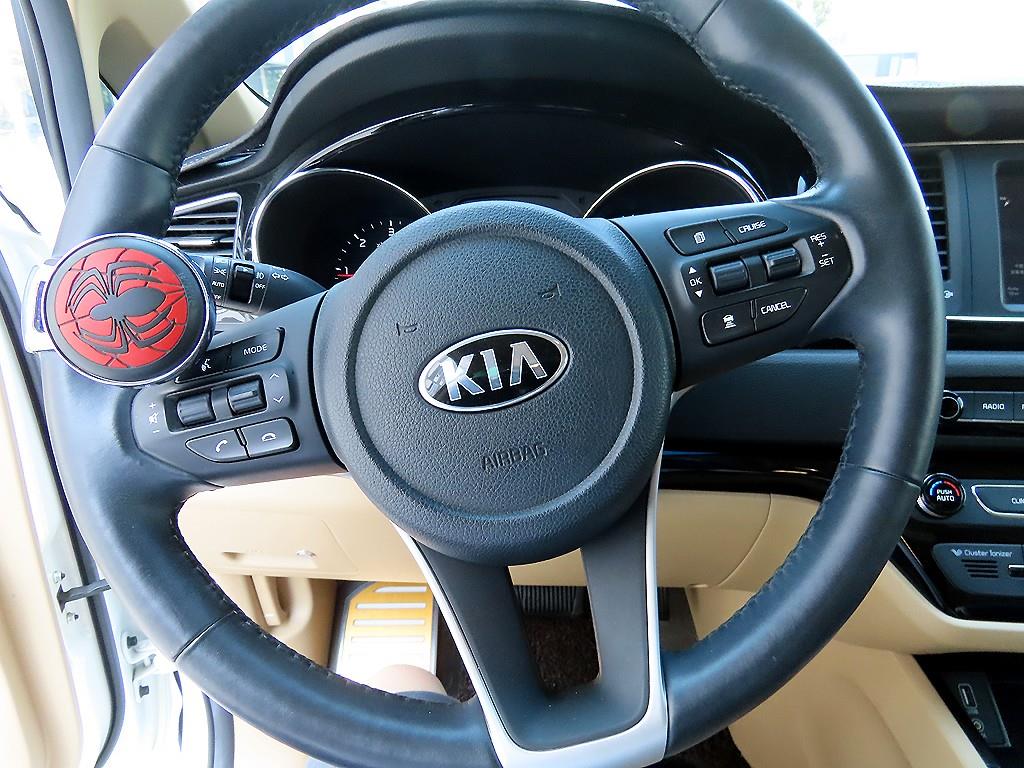 KIA Carnival - Vista 10
