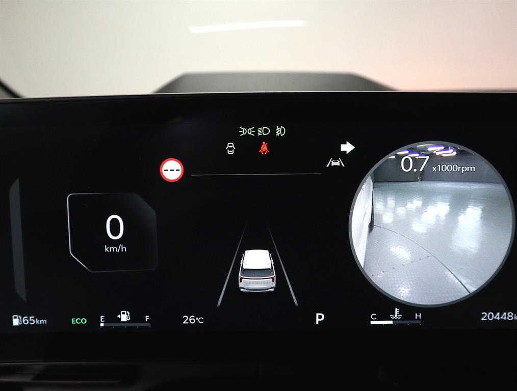 KIA Carnival - Vista 7