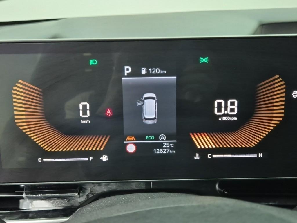 KIA Carnival - Vista 6