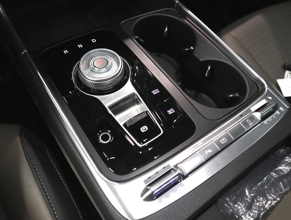 KIA Carnival - Vista 12