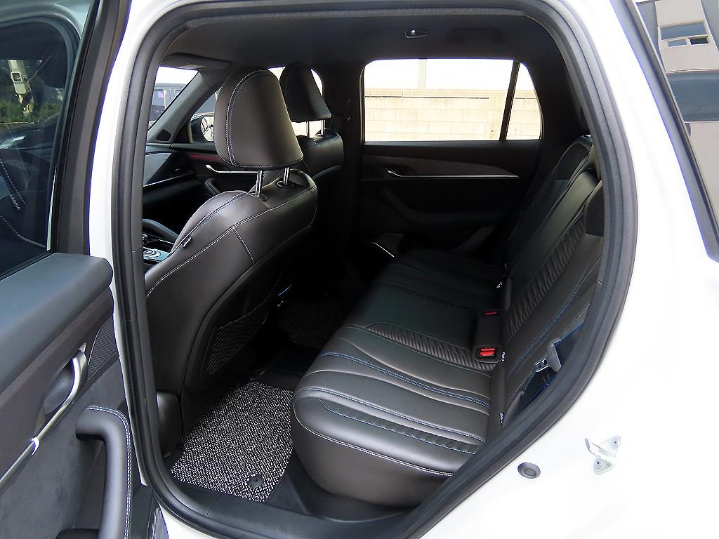 SAMSUNG Grand Koleos - Vista 6