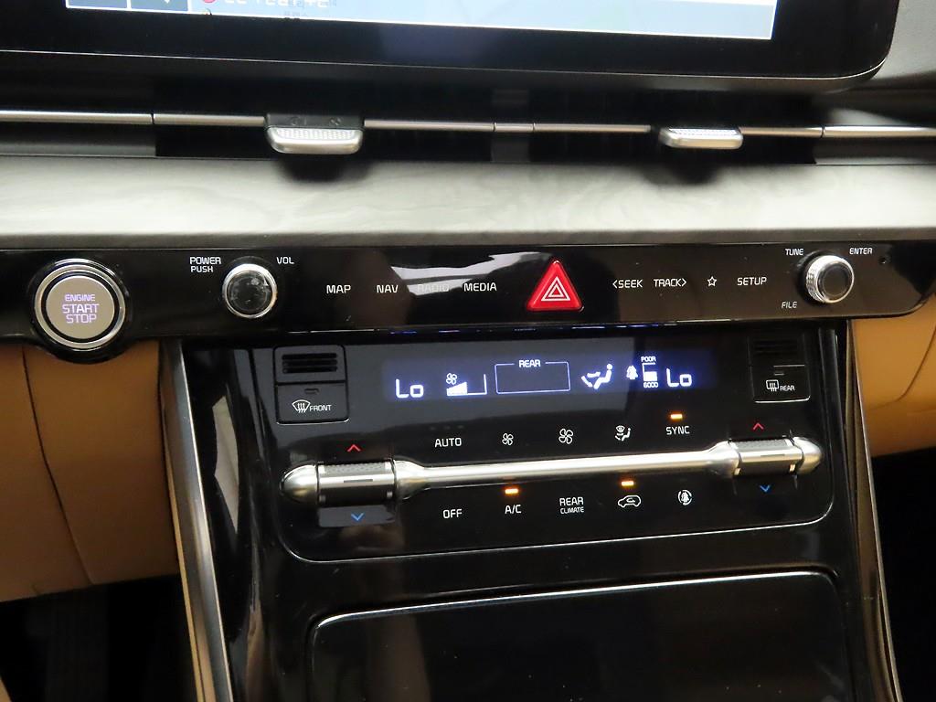 KIA Carnival - Vista 9
