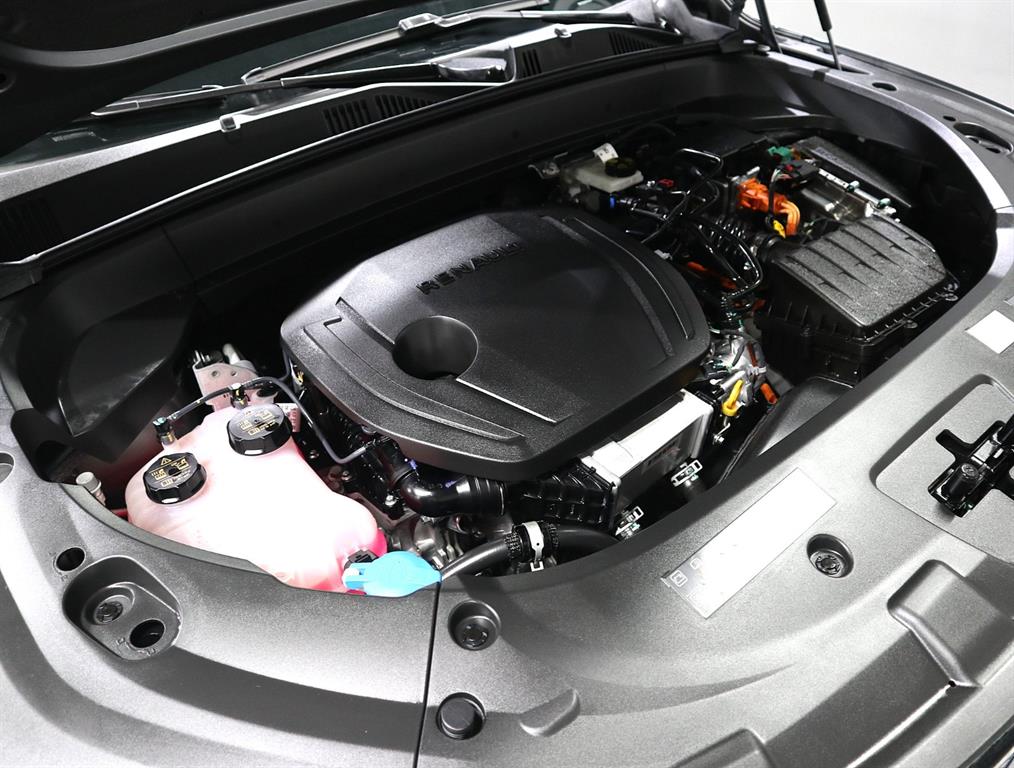 SAMSUNG Grand Koleos - Vista 6
