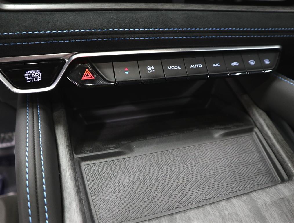 SAMSUNG Grand Koleos - Vista 12