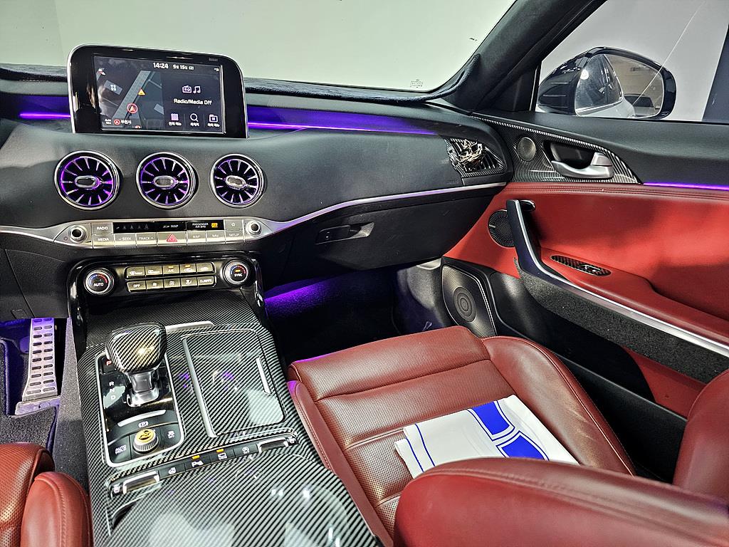 KIA Stinger - Vista 10