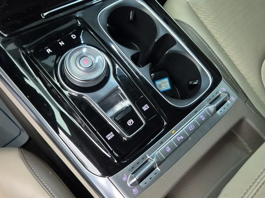 KIA Carnival - Vista 8