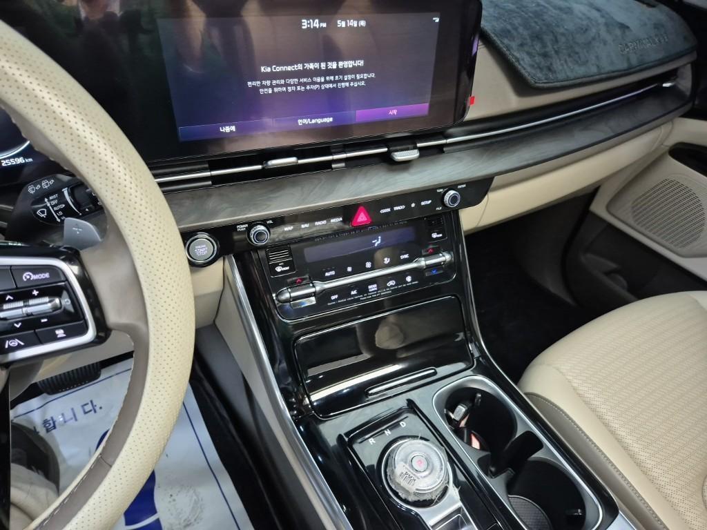 KIA Carnival - Vista 10