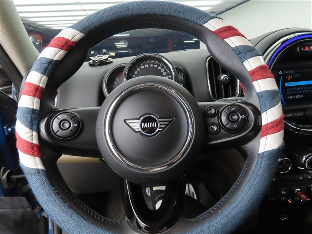 Mini Countryman - Vista 8