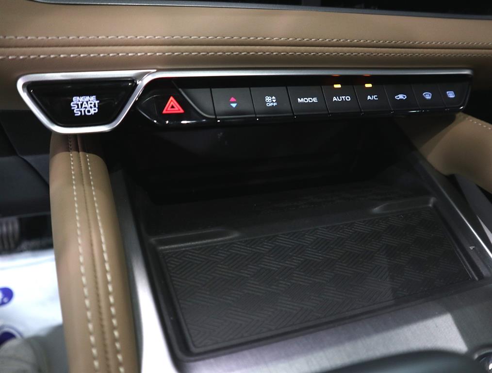 SAMSUNG Grand Koleos - Vista 12