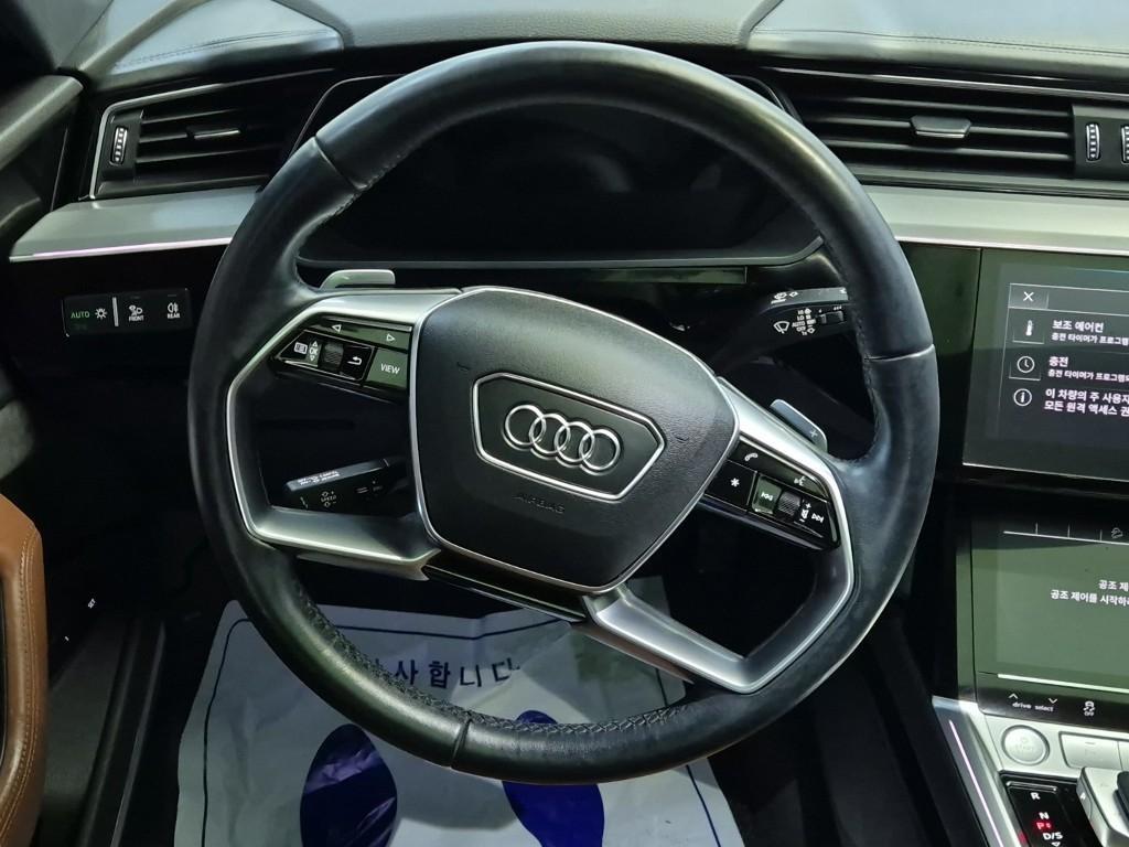 Audi e-Tron - Vista 9