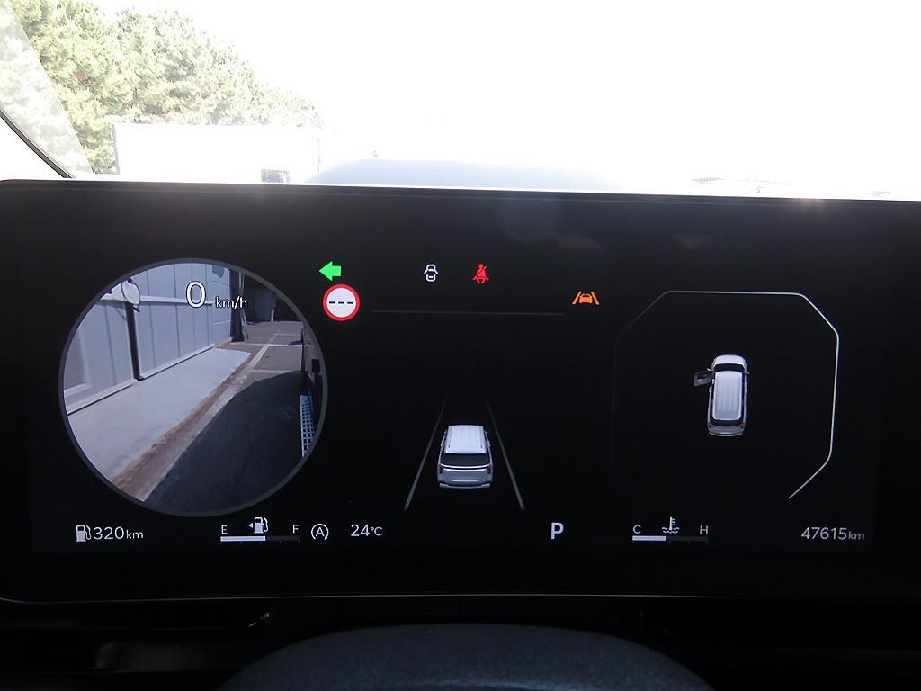 KIA Carnival - Vista 12