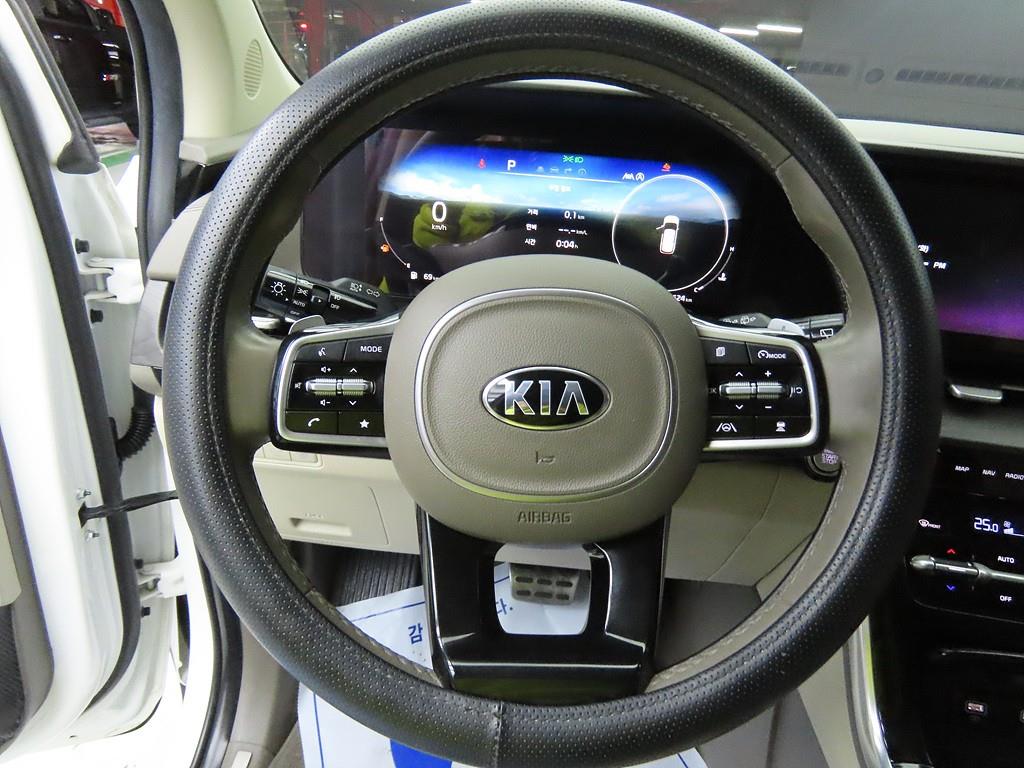 KIA Carnival - Vista 8