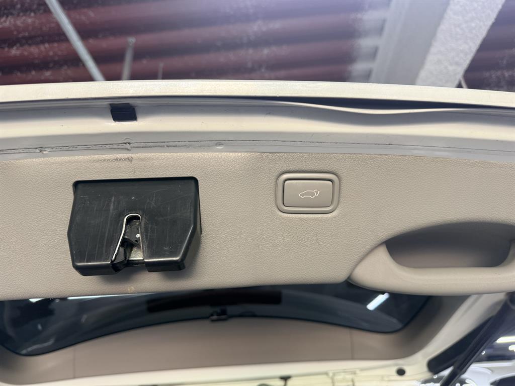 KIA Carnival - Vista 8
