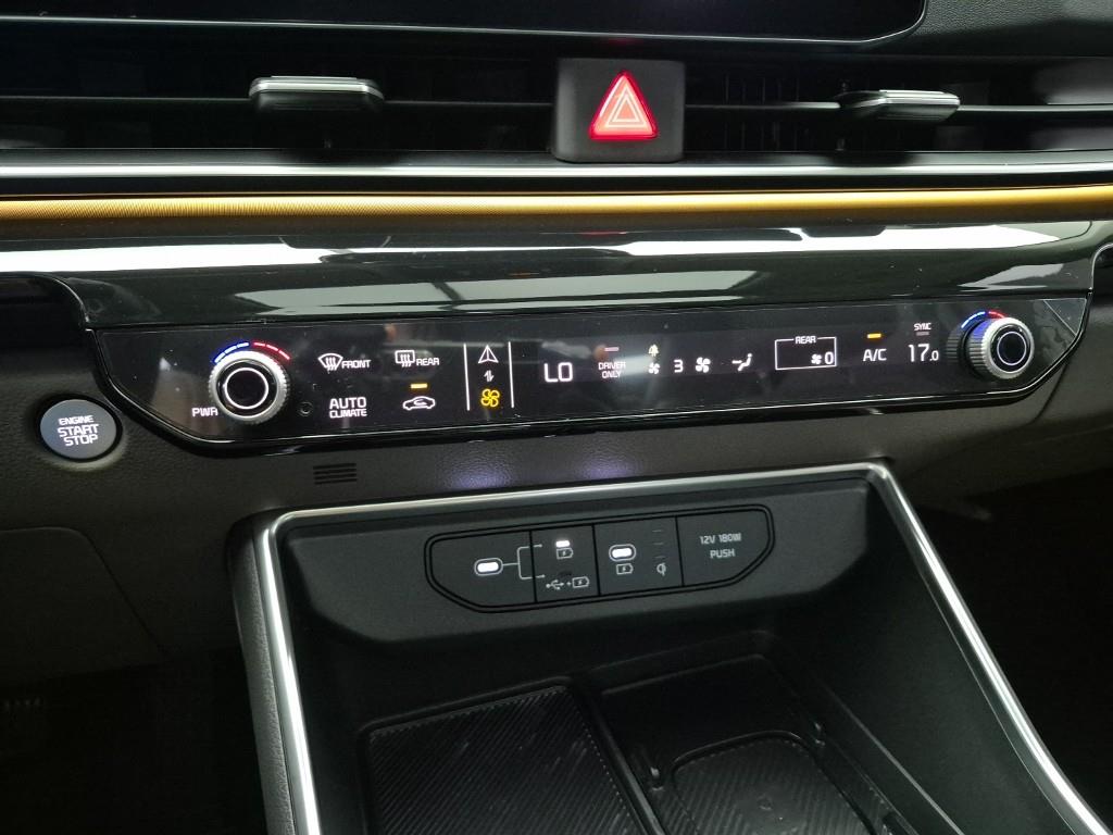 KIA Carnival - Vista 10