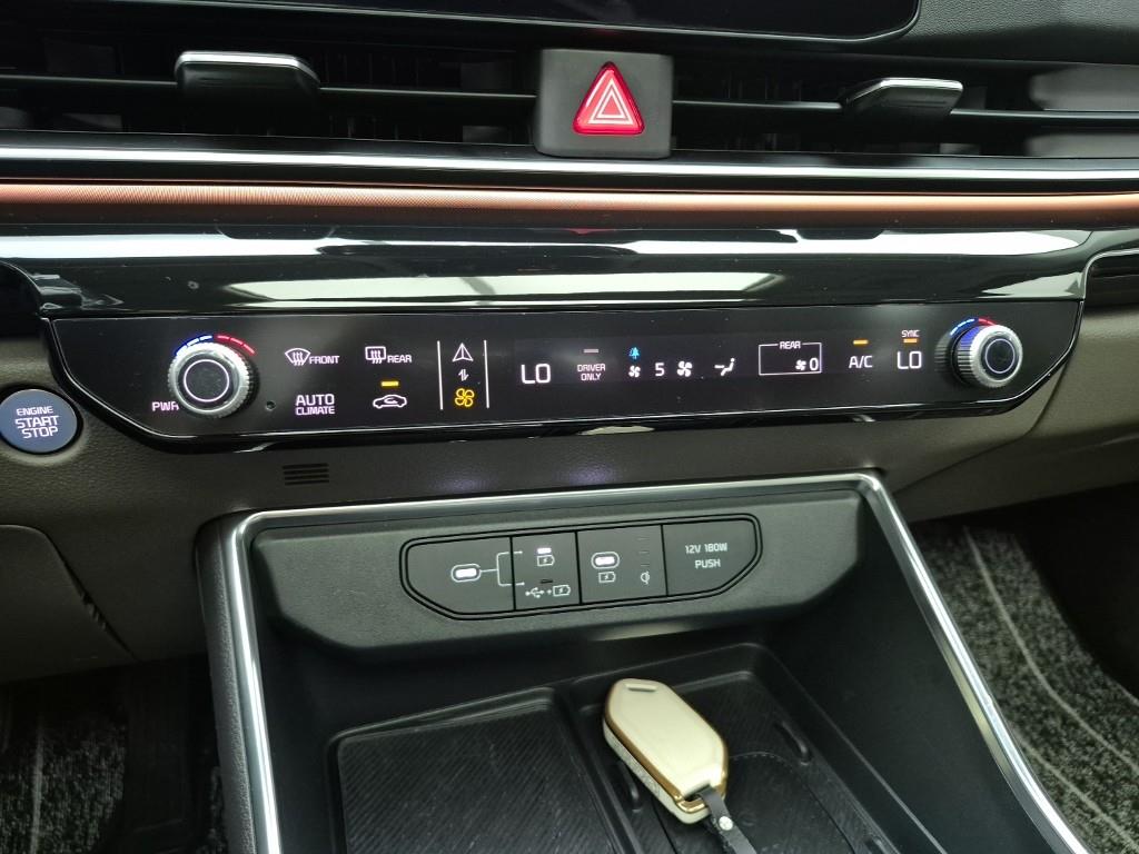 KIA Carnival - Vista 10