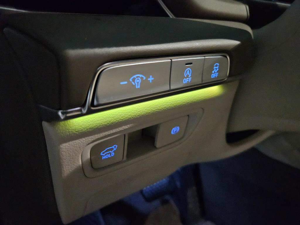 Genesis GV80 - Vista 10