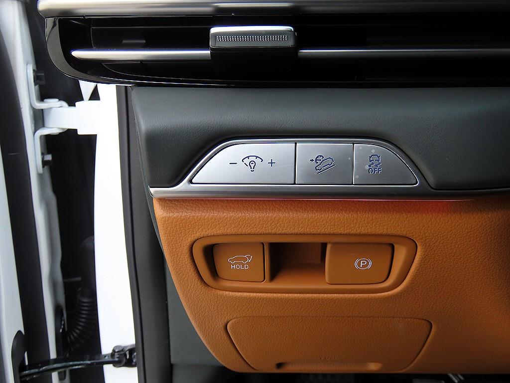 Genesis GV80 - Vista 12