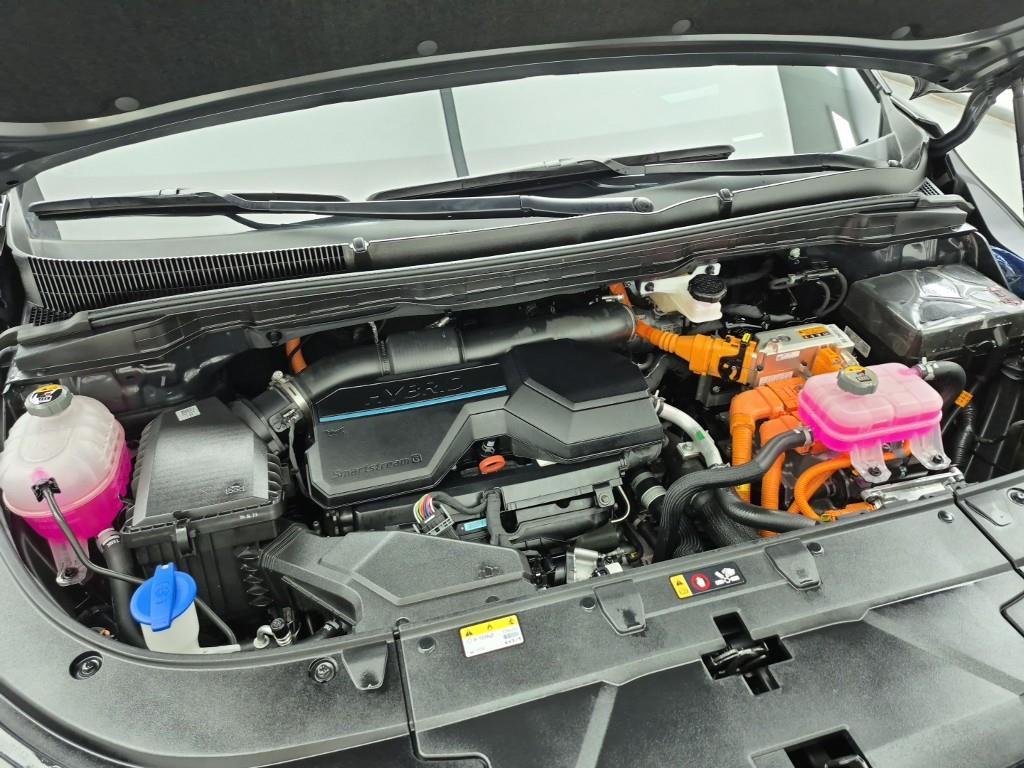 KIA Carnival - Vista 6