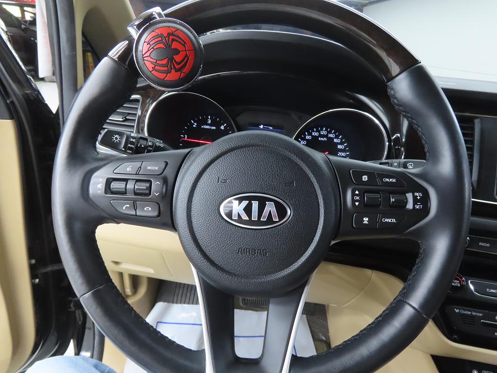 KIA Carnival - Vista 8