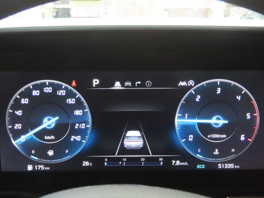 KIA Carnival - Vista 8