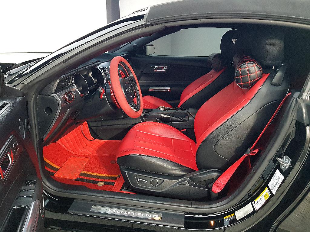 Ford Mustang - Vista 8