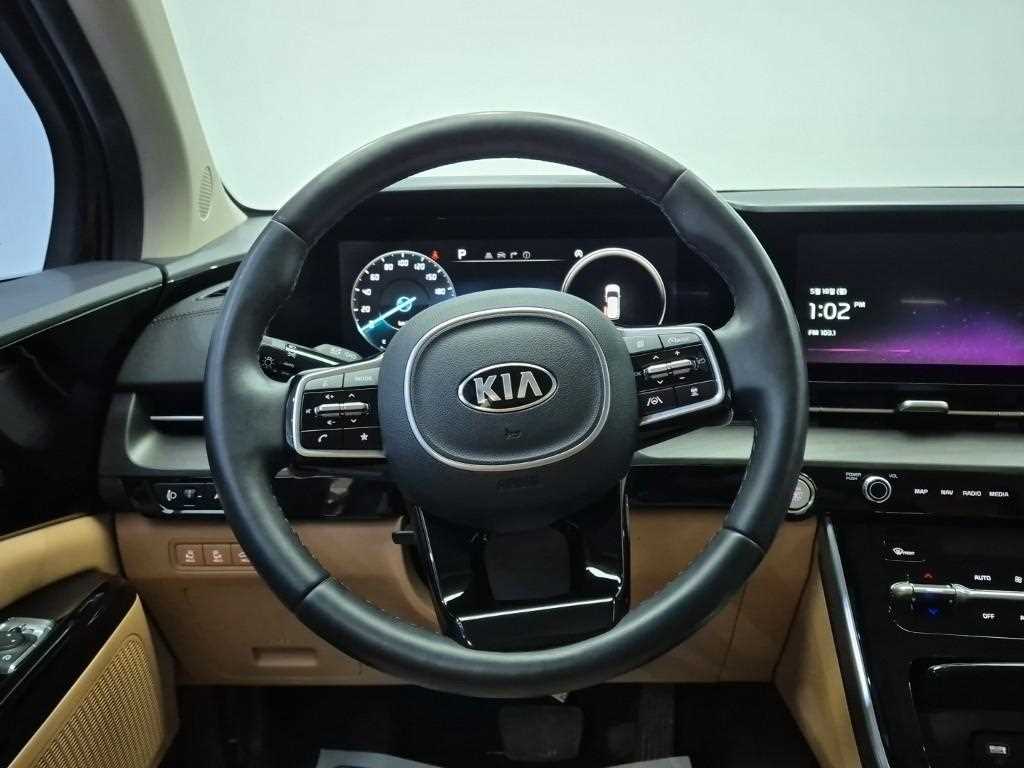 KIA Carnival - Vista 9