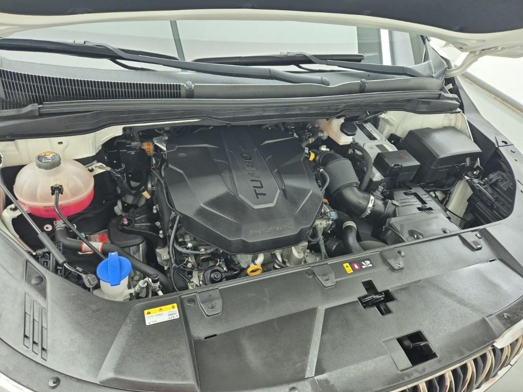KIA Carnival - Vista 6