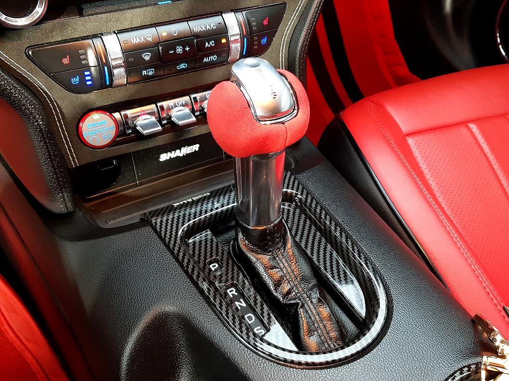 Ford Mustang - Vista 11