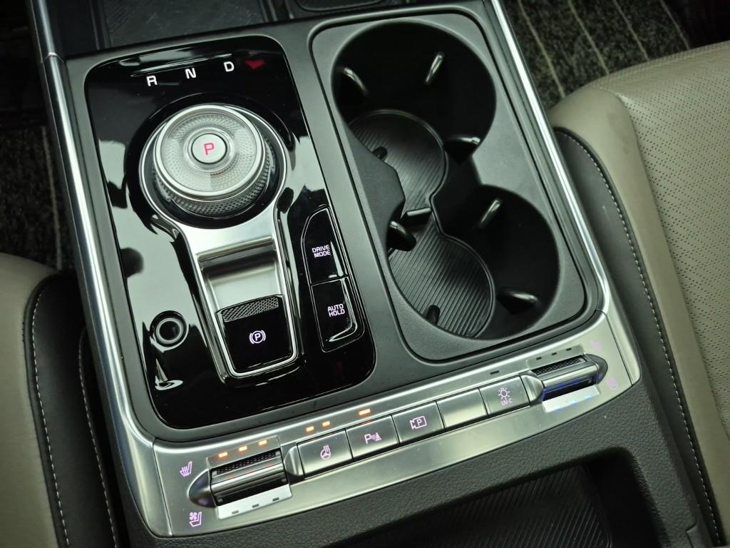 KIA Carnival - Vista 8