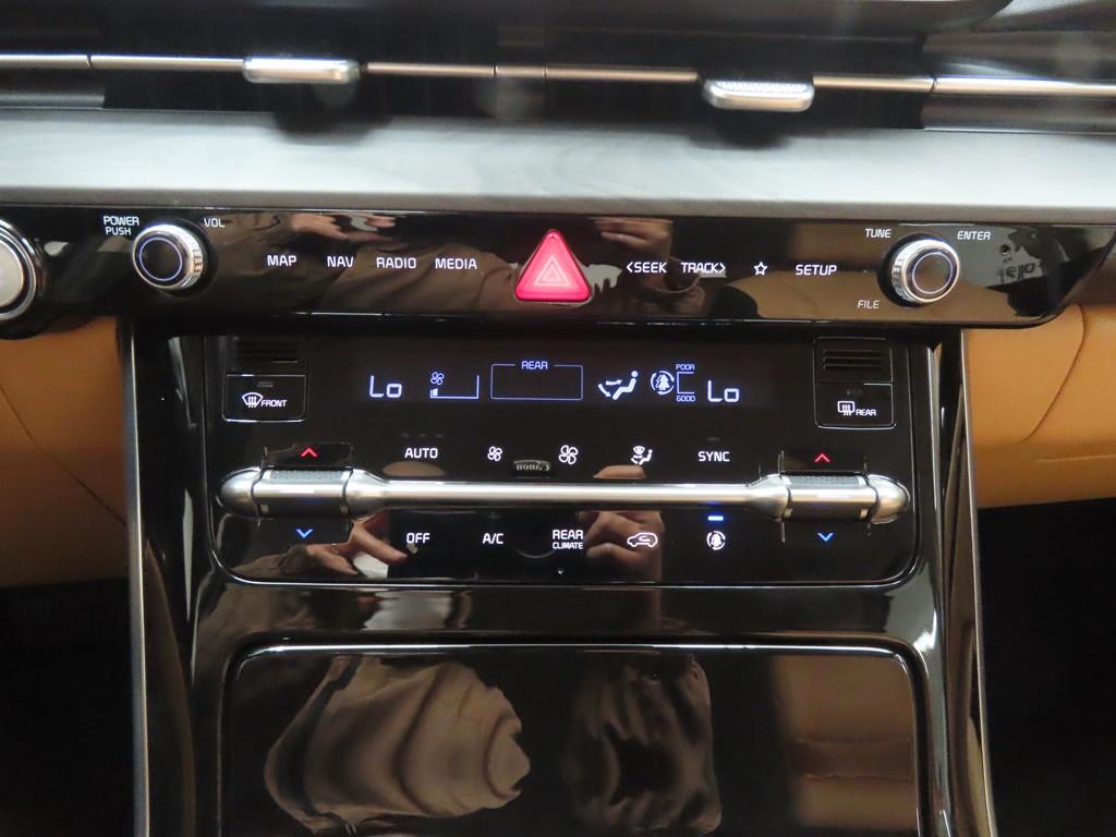 KIA Carnival - Vista 11