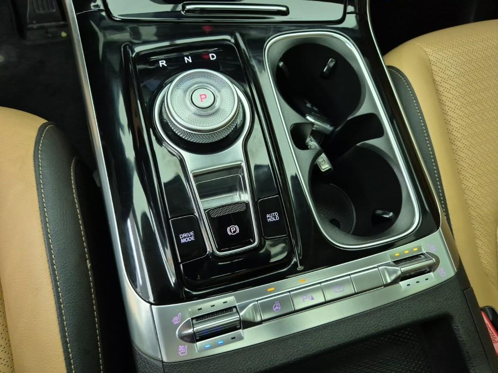 KIA Carnival - Vista 8