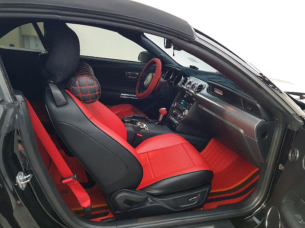 Ford Mustang - Vista 5